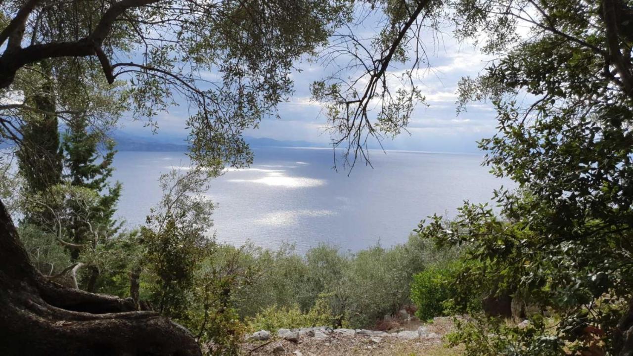 Rizes Sea View